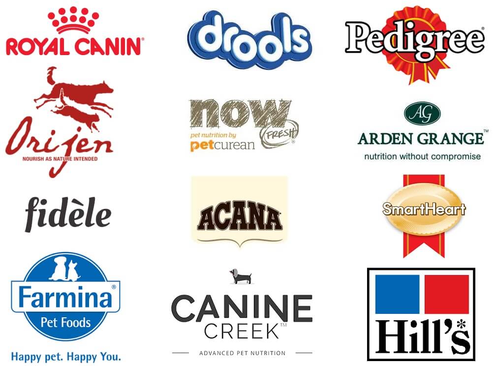 dog food premium brands