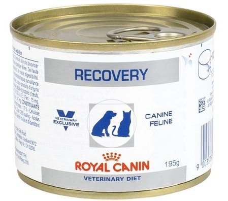 Royal Canin Recovery Discounted Shop