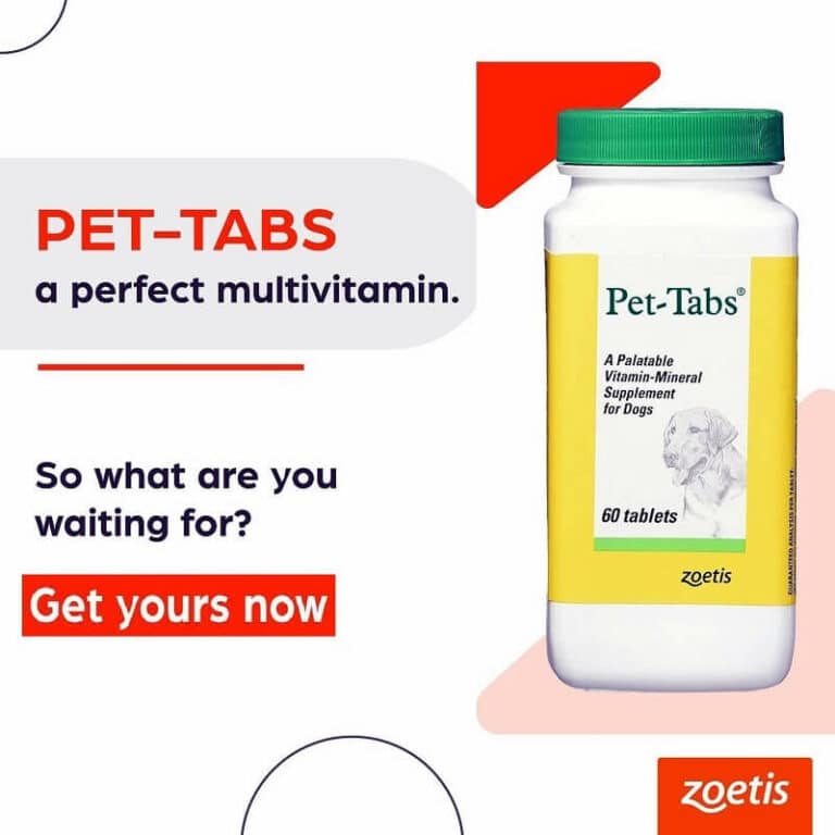 Zoetis Pet Tab for dogs 60tabs LoyalPetZone India