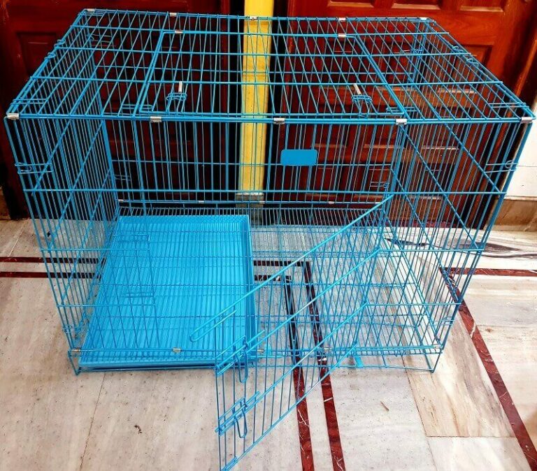 LoyalPetZone Foldable Iron Cage for dogs and other animals (42 inch/3 ...